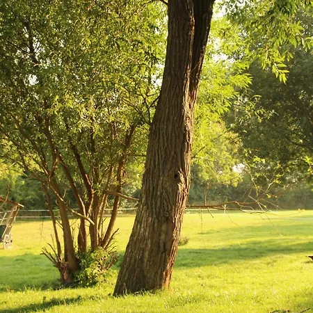 شقة Gutshof Dubnitz Gutshof Dubnitz -ferienwohnung 6 