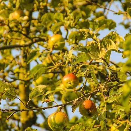 Gutshof Dubnitz Gutshof Dubnitz -ferienwohnung 6 