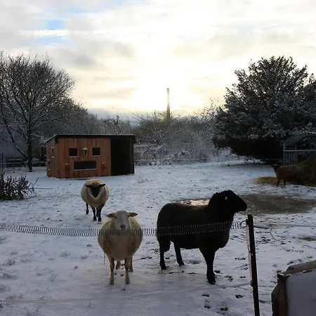 شقة Gutshof Dubnitz Gutshof Dubnitz -ferienwohnung 6 