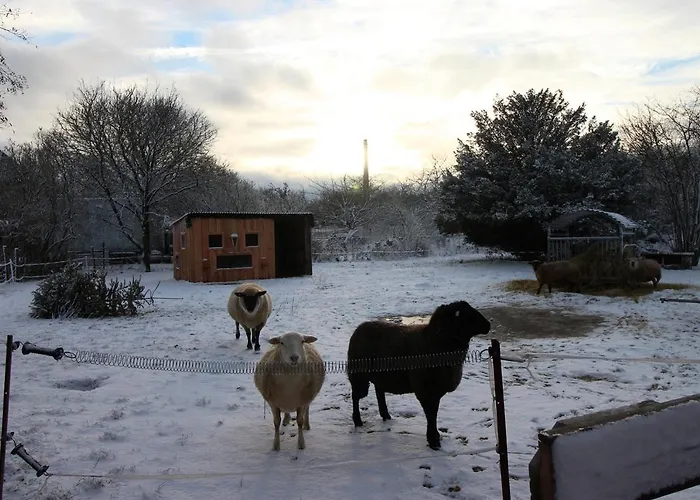 아파트 Gutshof Dubnitz Gutshof Dubnitz -ferienwohnung 6 